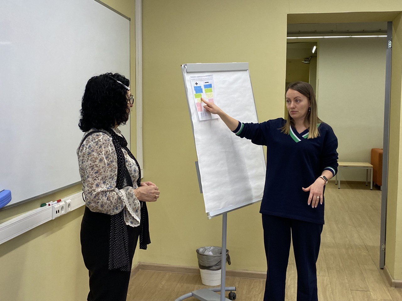 Установочный семинар «Стратегия перехода школ из статуса рисковой в статус резильентной: школьный и районный уровни».